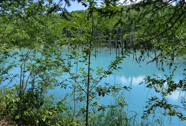 青い池