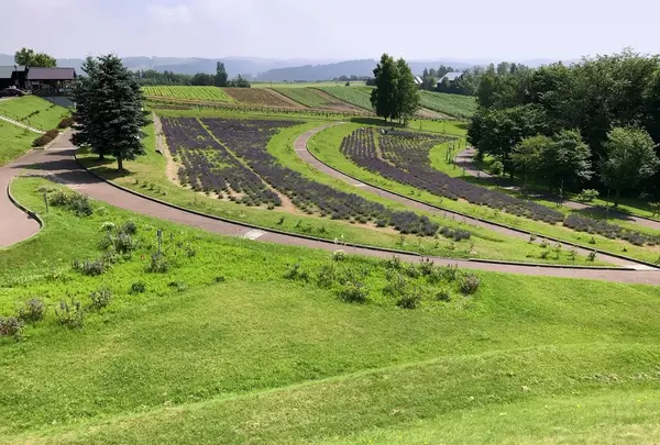 北西の丘 展望公園