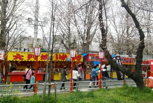 熊谷桜堤
