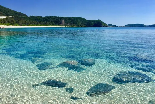 座間味島