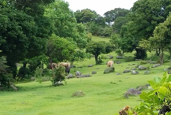 唐人駄馬巨石群