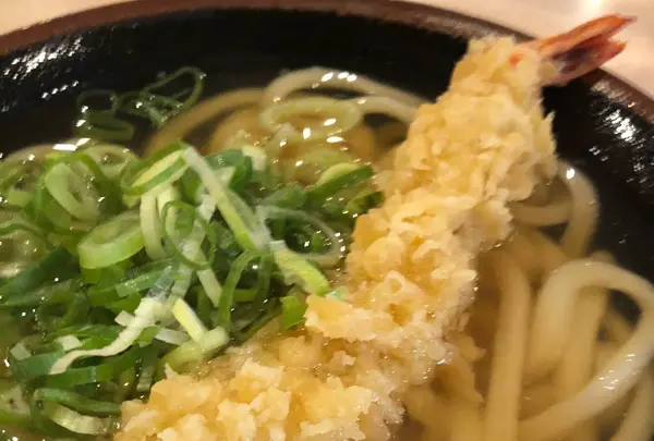 宝うどん
