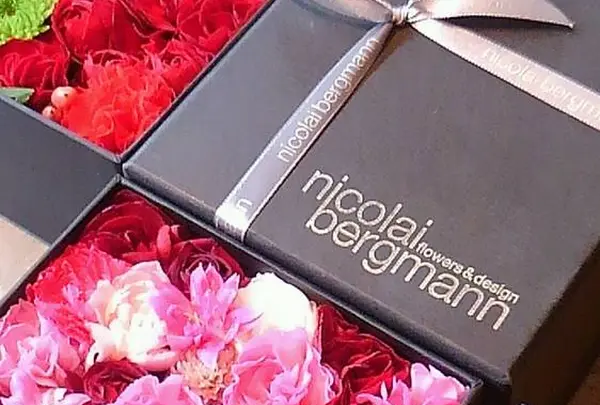 ニコライバーグマン ノム(Nicolai Bergmann NOMU )