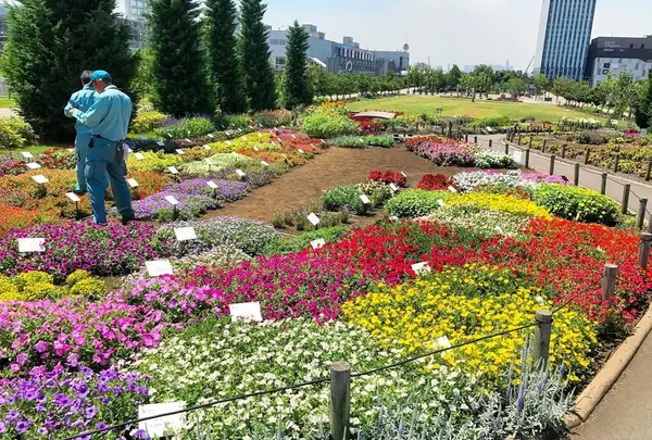 夢の広場