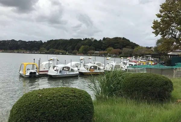 千波湖の写真・動画_image_442816
