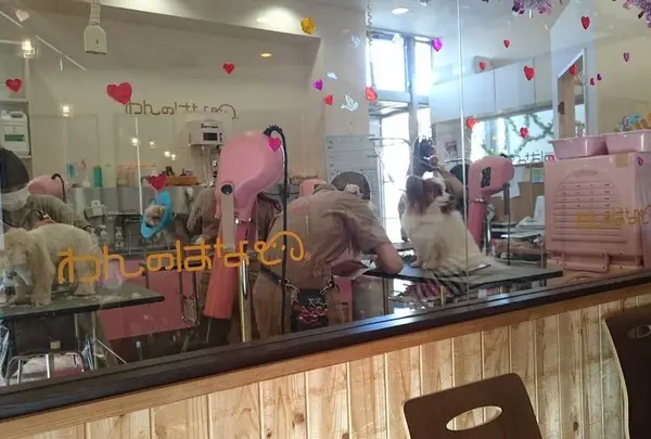 スローコーヒー八柱店