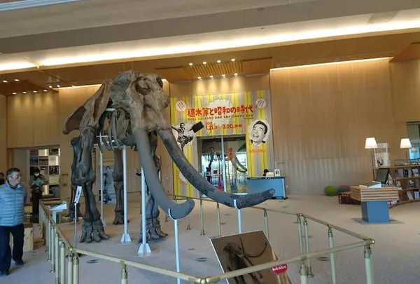 MieMu 三重県総合博物館