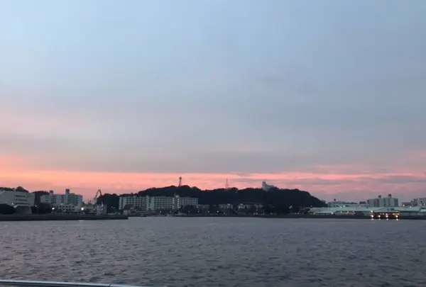 猿島航路