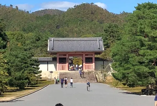 仁和寺の写真・動画_image_449484