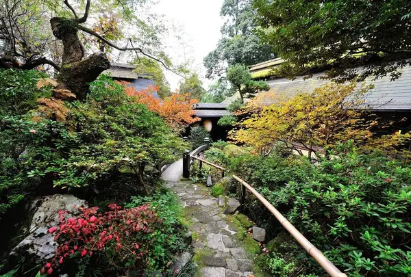 黒茶屋