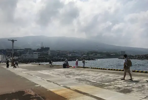 伊豆大島の写真・動画_image_449882