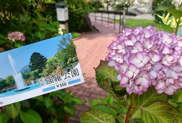 箱根強羅公園の写真・動画_image_450246
