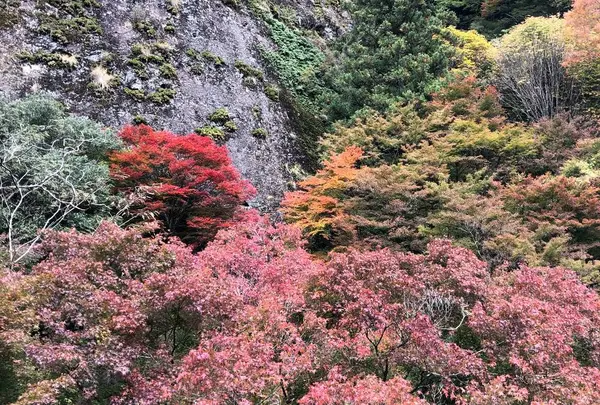 国民宿舎 古岩屋荘