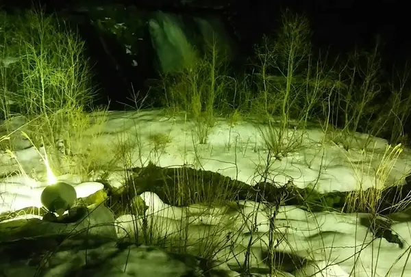 新平湯温泉 タルマかねこおり ライトアップ