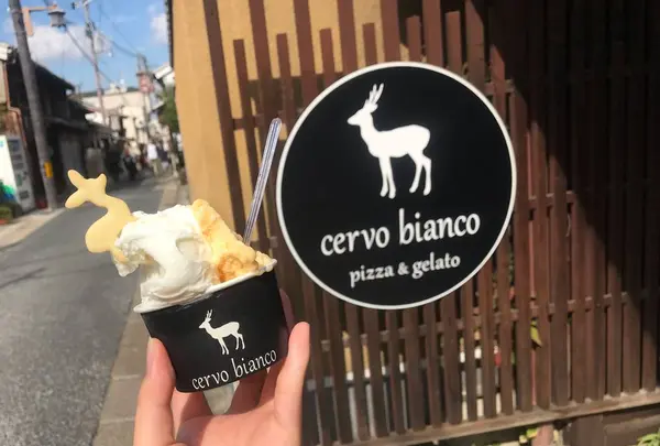cervo bianco