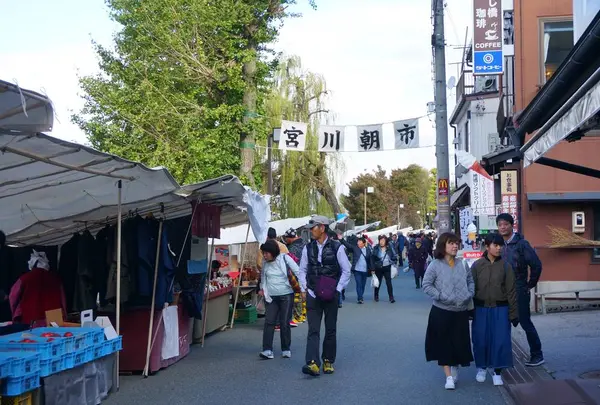 宮川朝市の写真・動画_image_451422