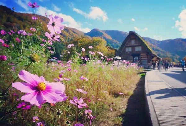 白川郷