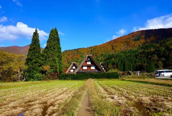 白川郷 かん町付近の写真・動画_image_451430