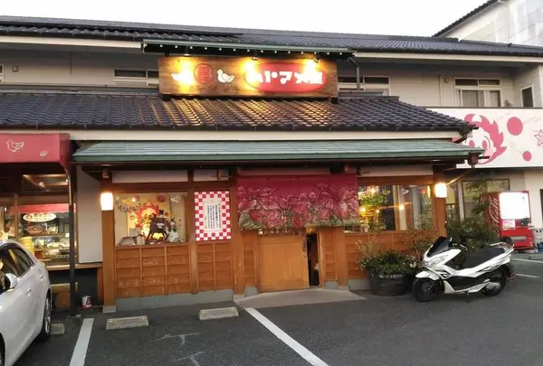 ハトマメ屋 株式会社