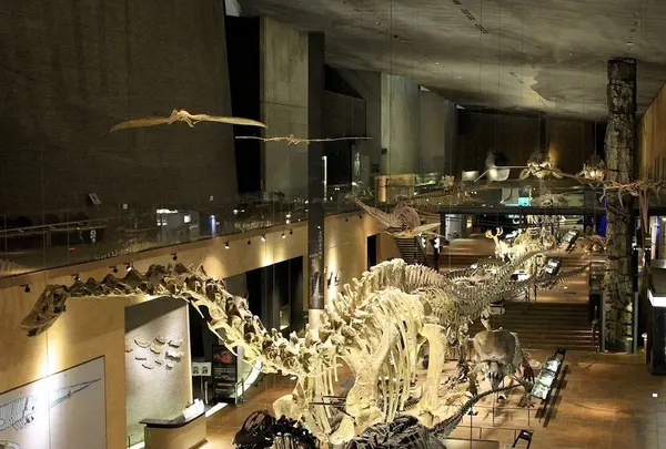 北九州市立いのちのたび博物館