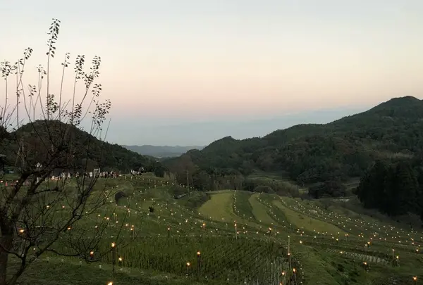 大山千枚田