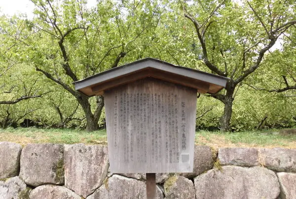 亀山城