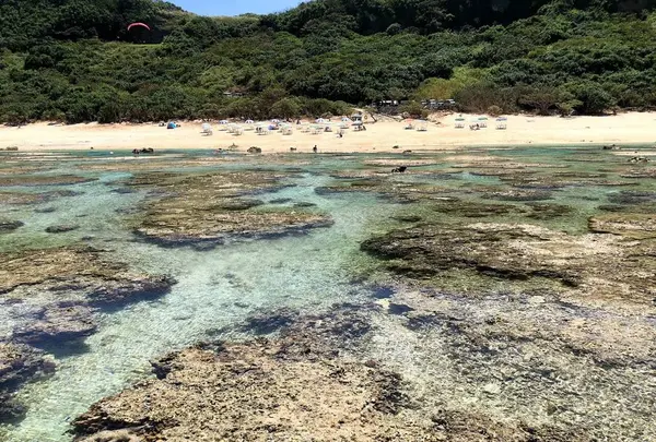 吉野海岸