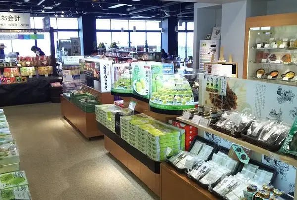 砂丘センター 見晴らしの丘