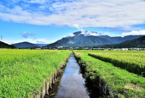 伊吹山