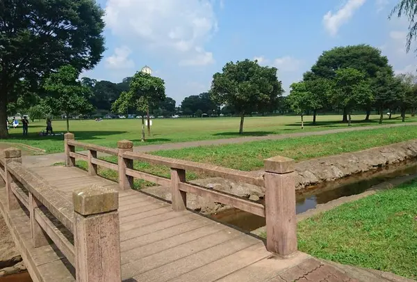 野田市スポーツ公園