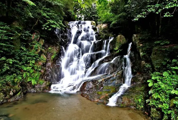 白糸の滝