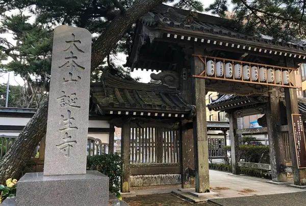 誕生寺
