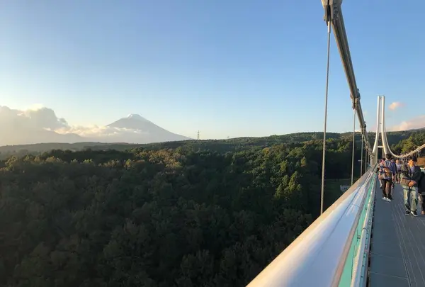 三島スカイウォークの写真・動画_image_456768