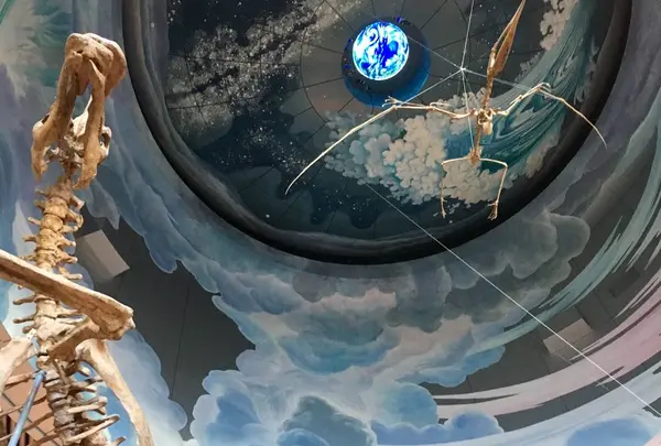 神奈川県立生命の星・地球博物館の写真・動画_image_457263