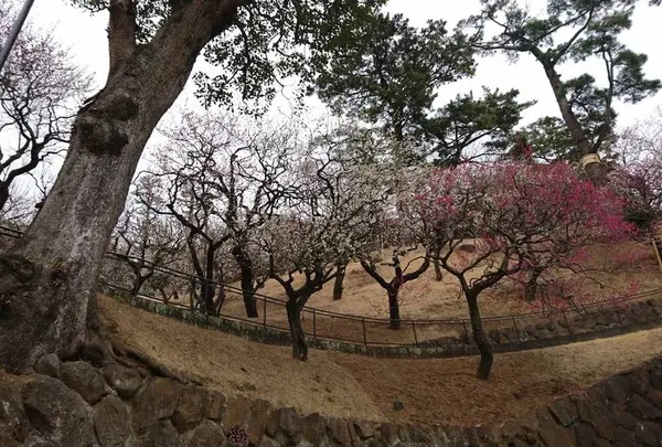 ＭＯＡ美術館（バス）