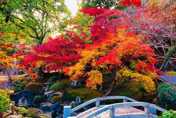 尾関山公園の写真・動画_image_458222