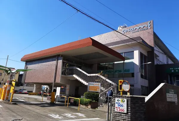 アイビーボール向島