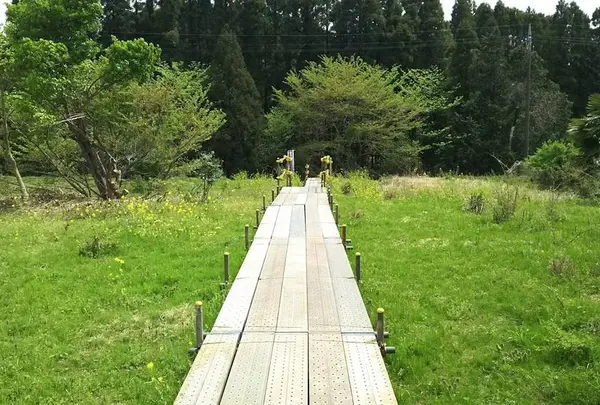 チバニアン 地球磁場逆転地層
