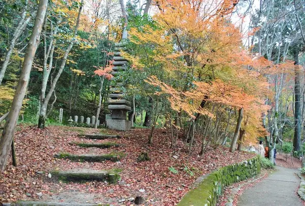 瑞宝寺公園