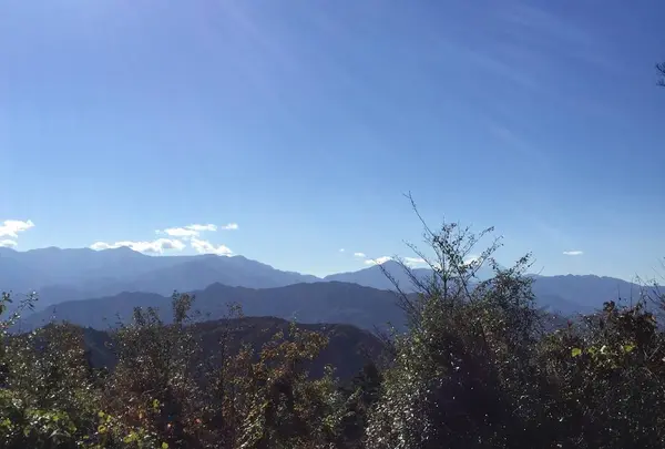 高尾山山頂