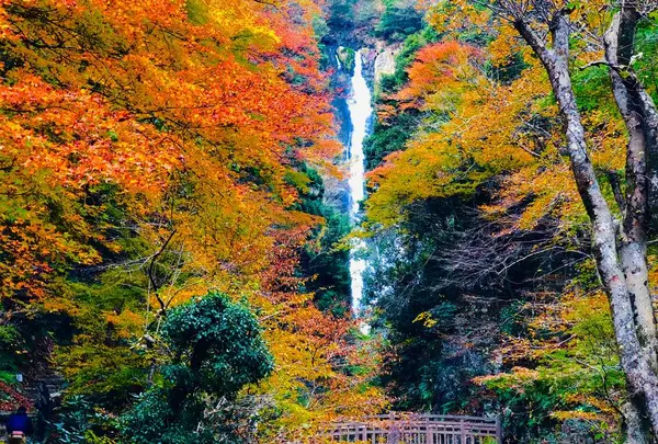 神庭の滝