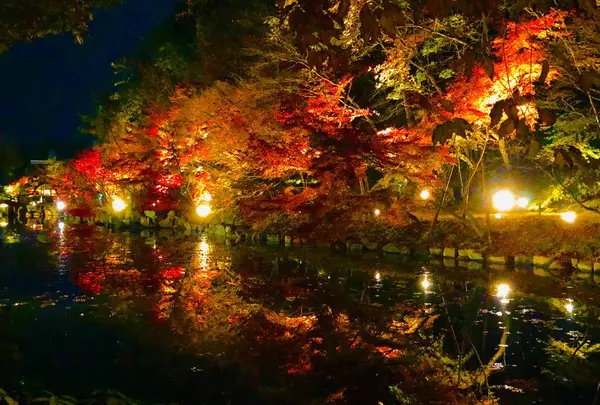 神勝禅寺 紅葉ライトアップ特別拝観