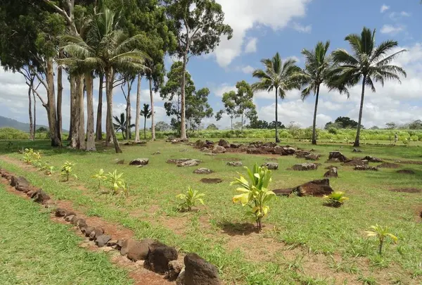 クカニロコ・バーシング・ストーンズ