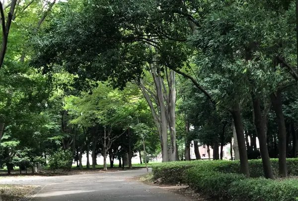 都立小金井公園