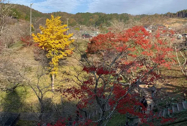 小原ふれあい公園