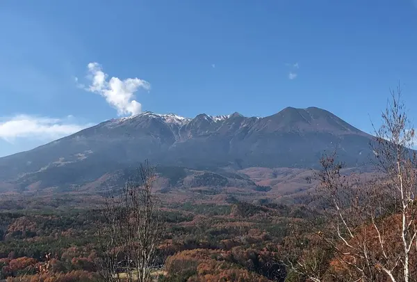 九蔵峠展望台の写真・動画_image_462684