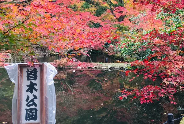 曽木公園