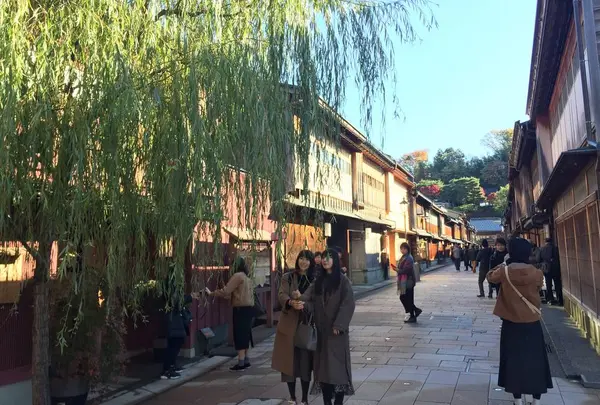 ひがし茶屋街の写真・動画_image_463676