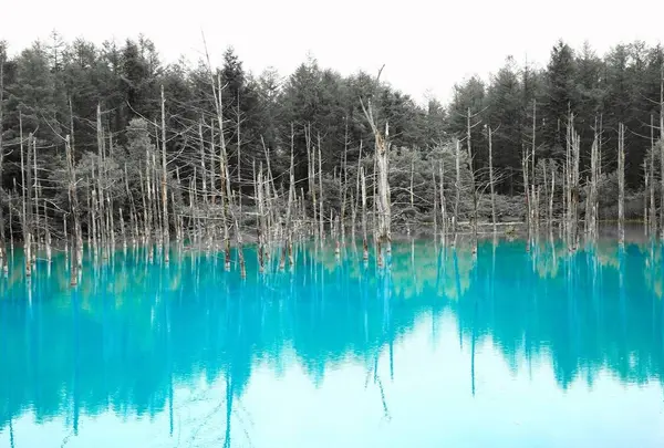 青い池
