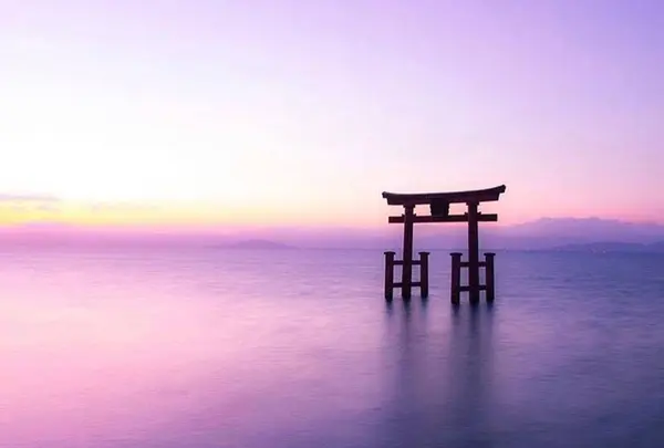 白鬚神社の写真・動画_image_464041